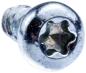 Preview: Schraube ITXPANT 10 mm (MPN 5351303-10)