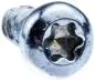 Preview: Schraube ITXPANT 10 mm (MPN 5351303-10)