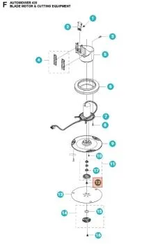 Schraube K6SF M6x8 FZB