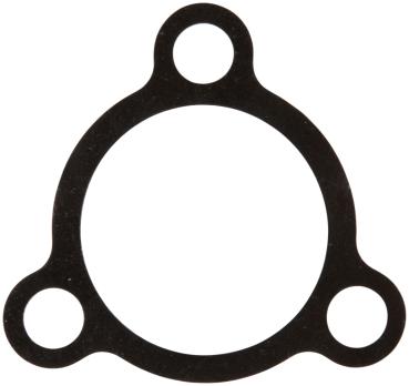 Dichtung Radmotor / Motorflansch (Drive Motor Flange Sealing)