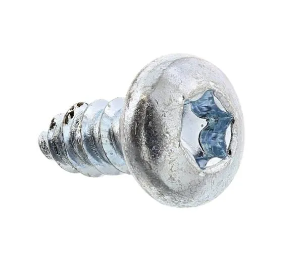 Schraube ITXPANT 10 mm (MPN 5351303-10)