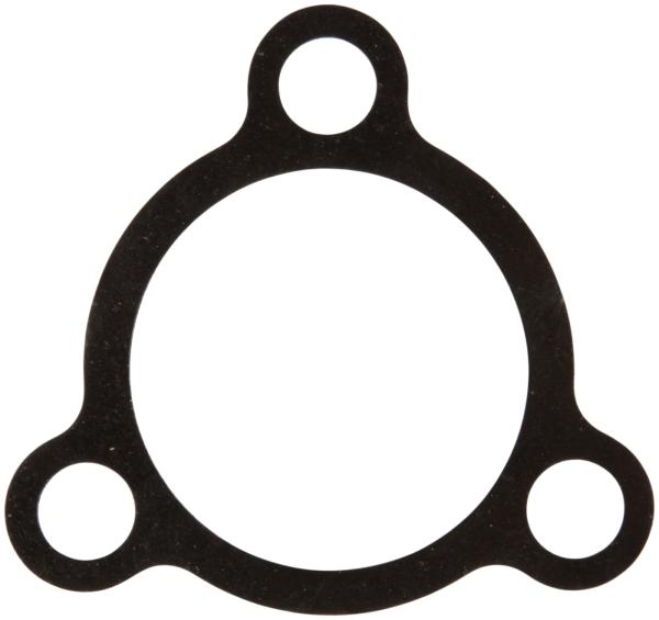 Dichtung Radmotor / Motorflansch (Drive Motor Flange Sealing)