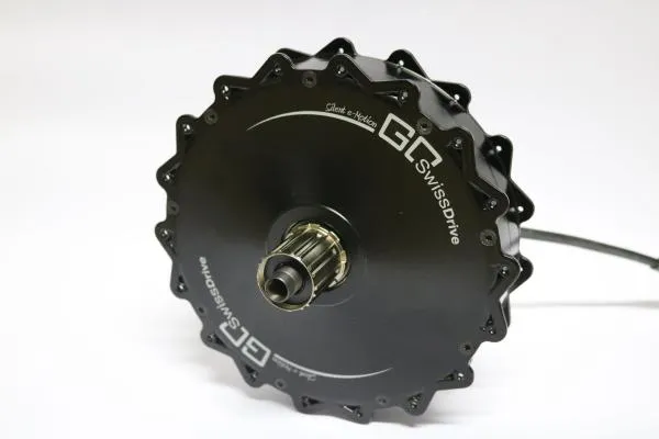 NEU GoSwissDrive Motor Umbau-Set komplett und neu 45kmh 500W X12